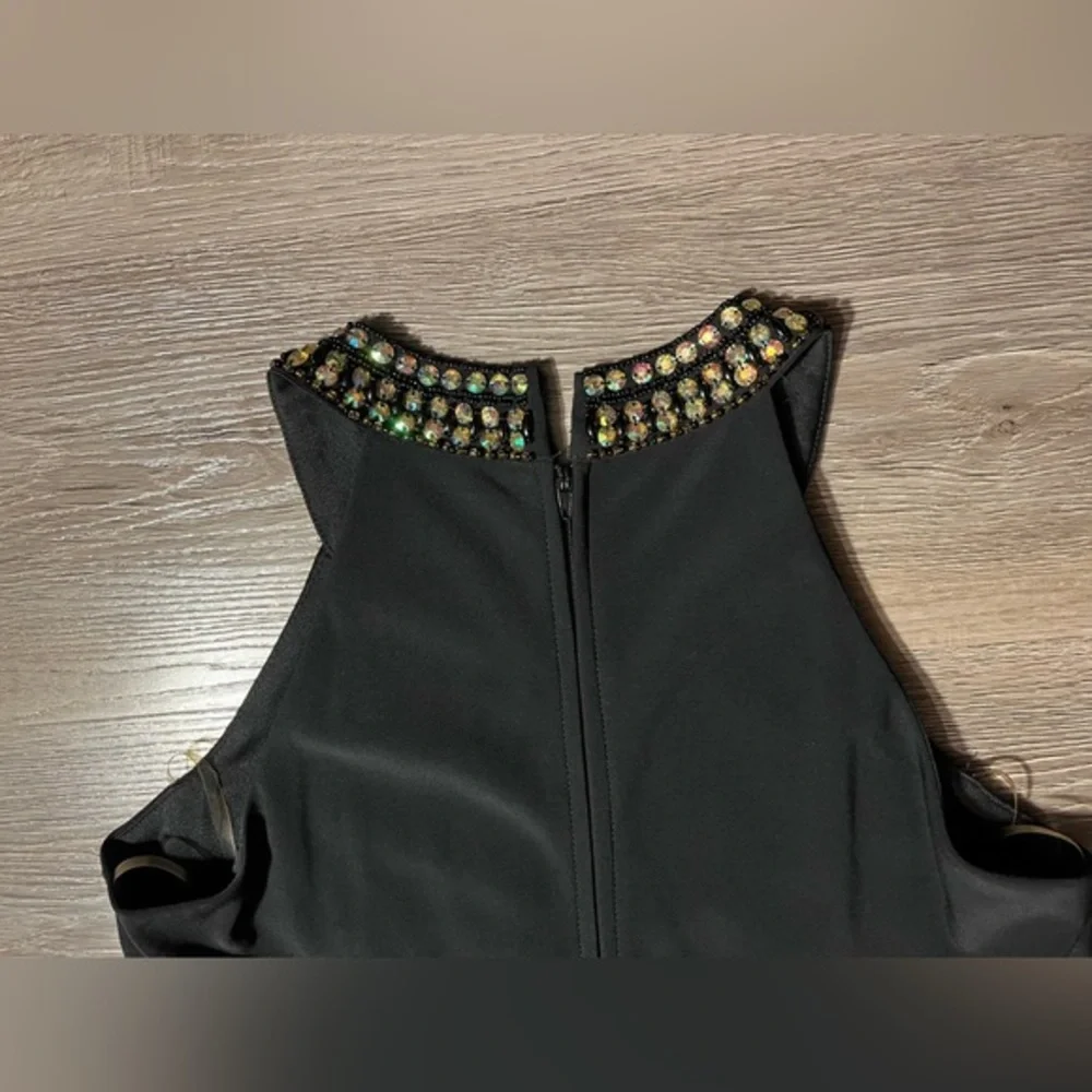 POPPIES & ROSES DRESS‎ - Picture 7 of 7